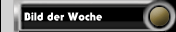 Bild der Woche