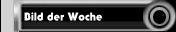 Bild der Woche